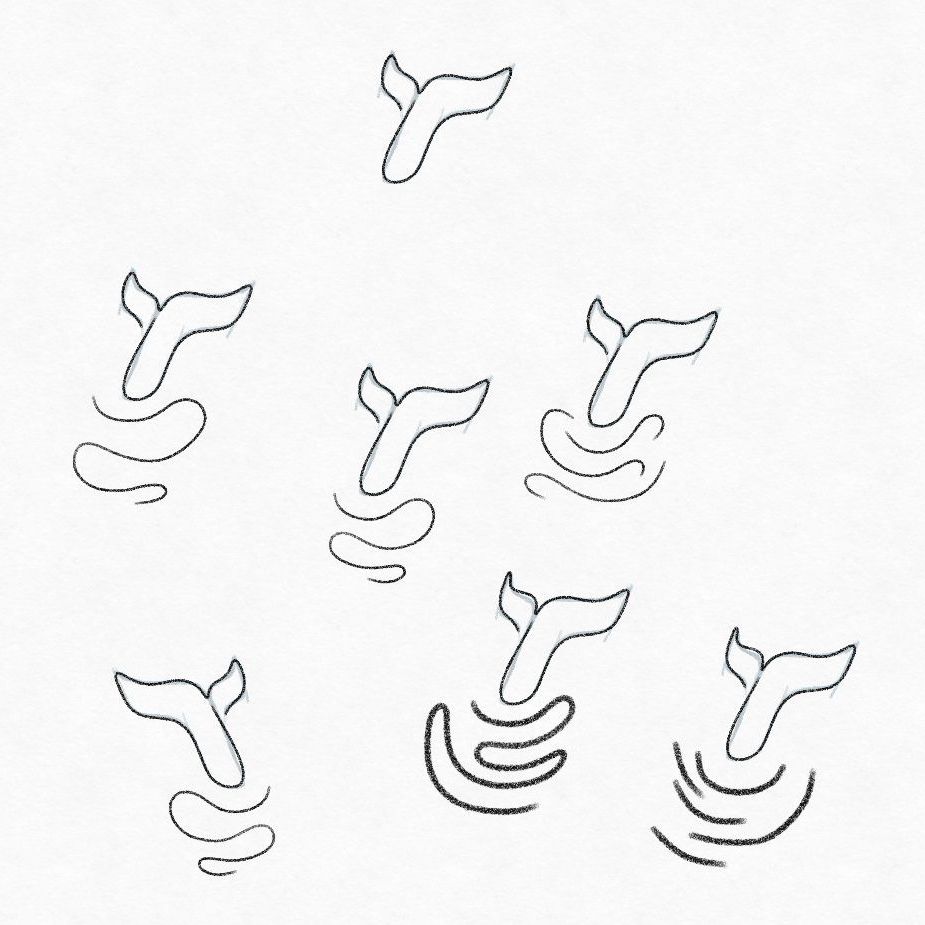 Graphite line sketches exploring whale tails with a bunch of different wave patterns underneath them.